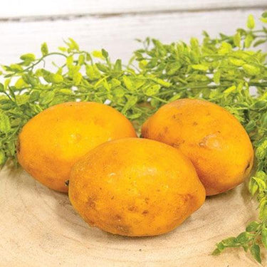 3 Set Beeswax Dipped Papier Mache Lemons - The Fox Decor
